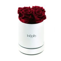 src="flower-box-mini.jpg" alt="średni flowerbox burgund białe pudelko ">