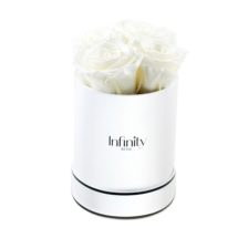 Białe wieczne róże średni biały flower box Infinity Rose