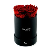 src="flower-box-mini.jpg" alt="midi flowerbox czerwony vibrant czarne pudelko ">