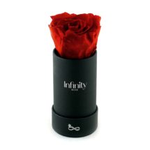 src="flower-box-mini.jpg" alt="mini flowerbox vibrant red czarne pudelko ">