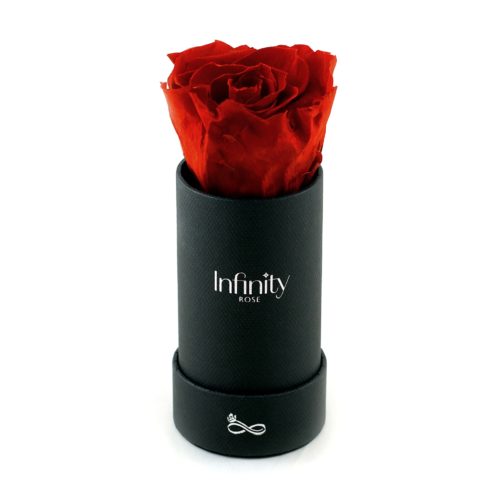 src="flower-box-mini.jpg" alt="mini flowerbox vibrant red czarne pudelko ">