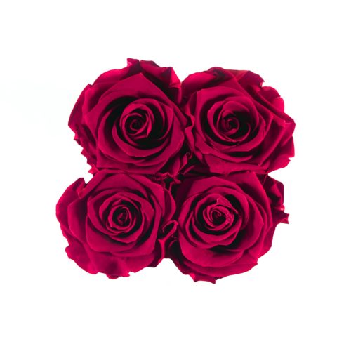 src="flower-box-mini.jpg" alt="średni flowerbox ciemnoróżowe róże top">