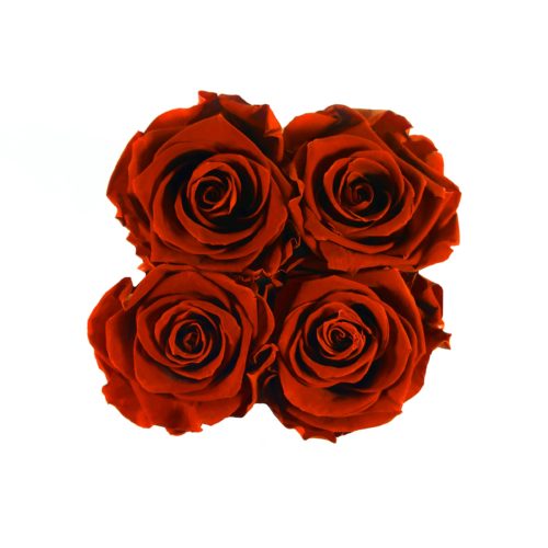 src="flower-box.jpg" alt="średni flowerbox vibrant red róże top">