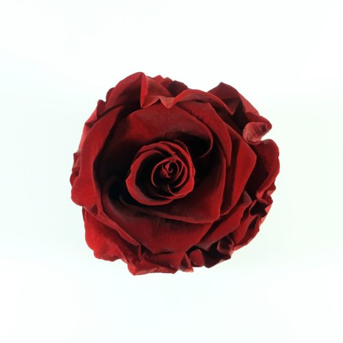 src="flower-box-mini.jpg" alt="mini flowerbox royal red białe pudelko top">