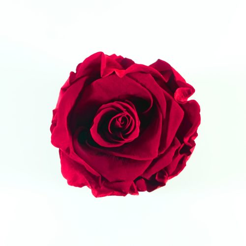 src="flower-box-mini.jpg" alt="mini flowerbox roseberry białe pudelko top">