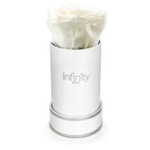 mini flower box Infinity Rose Classic Silver biała wieczna róża