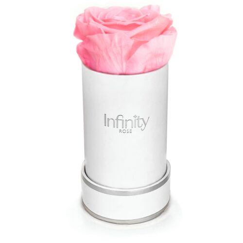 Mini flower box Infinity Rose wieczna róża jasnoróżowa