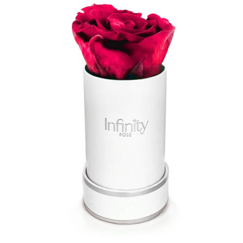 Mini flower box Infinity Rose wieczna róża ciemnoróżowa