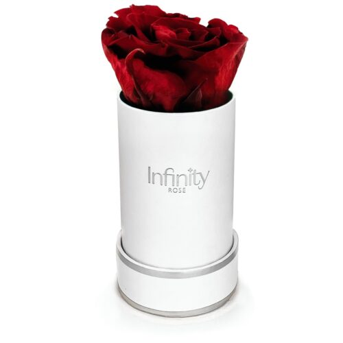 Mini flower box Infinity Rose wieczna róża Royal