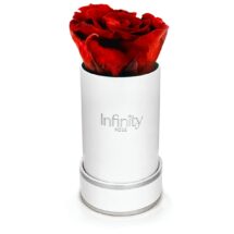 Mini flower box Infinity Rose Czerwona wieczna róża Vibrant