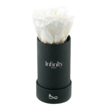 src="flower-box-mini.jpg" alt="mini flowerbox biała róża czarne pudelko classic">