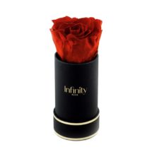 src="flower-box-mini.jpg" alt="mini flowerbox czerwone vibrant róże czarne pudelko złocone ">