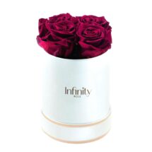 Ciemnoróżowe wieczne róże średni biały flower box Infinity Rose