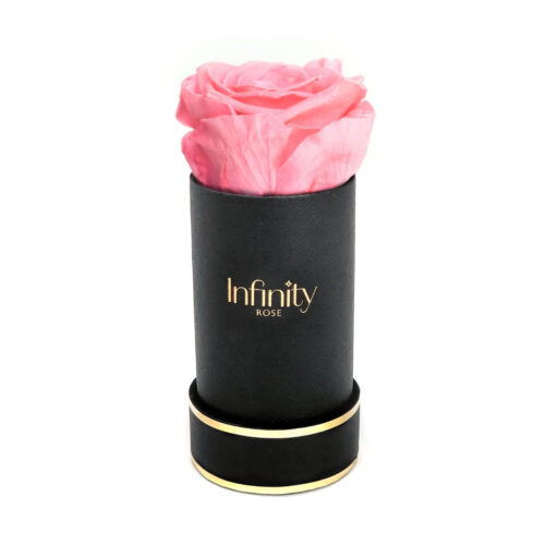Czarny flower box i jasnoróżowa wieczna róża Infinity Rose mini