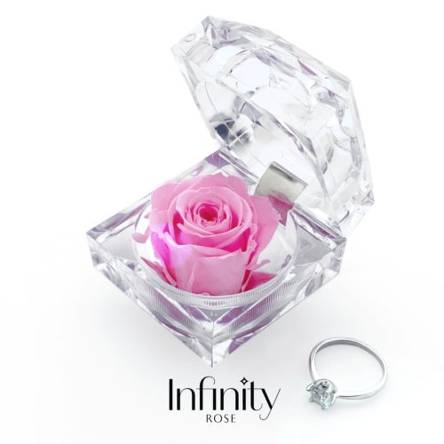 Szkatułka na pierścionek zaręczynowy różowa wieczna róża w przezroczystym pudełku Infinity Rose