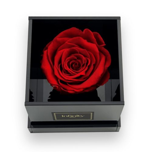 Czarny połyskujący flower box i ciemnoczerwona wieczna róża Infinity Rose