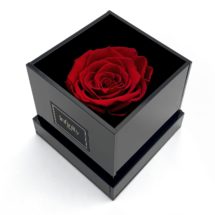 Ciemnoczerwona wieczna róża w czarnym akrylowym flower boxie Infinity Rose