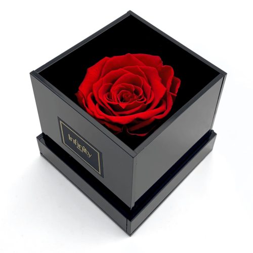 Czerwona wieczna róża w czarnym akrylowym flower boxie Infinity Rose