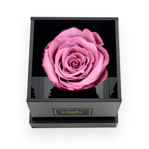 Czarny połyskujący flower box i różowa wieczna róża Infinity Rose
