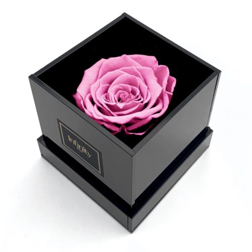 Różowa wieczna róża w czarnym akrylowym flower boxie Infinity Rose