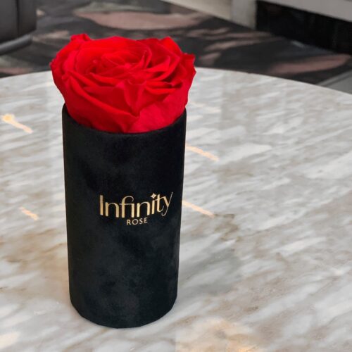 czerwona wieczna róża mini czarny flower box Infinity Rose