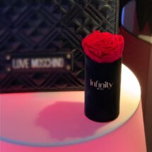 czerwona wieczna róża Infinity Rose mini flowerbox