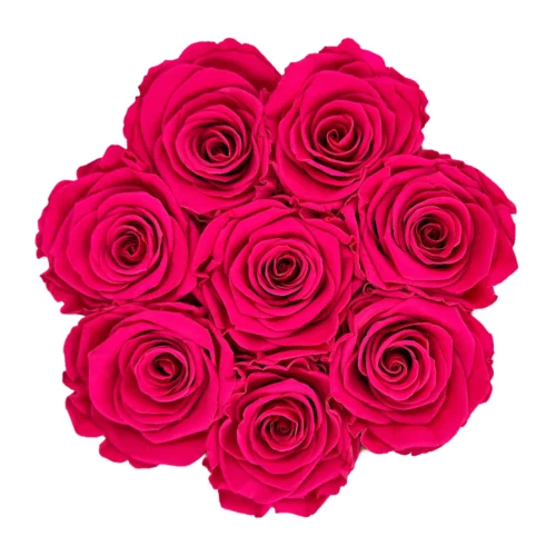 różowe wieczne róże flowerbox Infinity Rose z góry