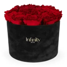 Flowerbox Infinity Rose czerwone róże wieczne w czarnym welurowym pudełku XL Velvet