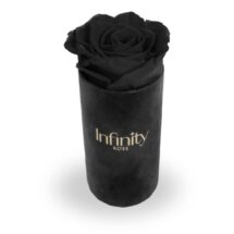 Flower box Infinity Rose czarna wieczna róża w mini czarnym welurowym pudełku Velvet